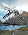 Mosquitoes make surprise appearance in Iceland, sparking climate alarm Mosquitoes make surprise appearance in Iceland, sparking climate alarm32