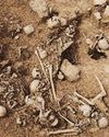 2,800-Year-old mass grave of women and children in Serbia reveals deliberate early Iron Age violence 2,800-Year-old mass grave of women and children in Serbia reveals deliberate early Iron Age violence23
