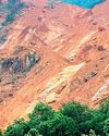 Rapid re-vegetation of Ditwah scars urgently needed for SL's economic health24
