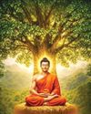 Dhamma, Inquiry and the Modern World17