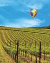 Relax and renew in Sonoma!