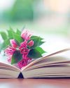 Love among the pages Love among the pages