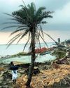 CLIMATE RESILIENT HOUSING STRUCTURES COMMUNITIES LIVING FOR MARGINALISED IN COASTAL AREAS: AN ANALYSIS9