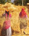 India took steps to address food security India took steps to address food security6