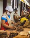 'INDUSTRY TO MOVE FASTER IN OCCUPATIONAL SAFETY'5
