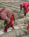 Developed nations must give a hand to small farmers14