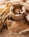 Open market sale of wheat to contain prices5