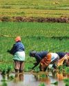 IN APR-JAN 2022-23: India's agri exports rise 6% to $43.37bn IN APR-JAN 2022-23: India's agri exports rise 6% to $43.37bn2