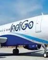 IndiGo apologizes for flight delays on Istanbul routes