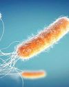 ANTIBIOTICS: A GLOBAL CRISIS CAUSED BY ANTIMICROBIAL RESISTANT SUPERBUGS ANTIBIOTICS: A GLOBAL CRISIS CAUSED BY ANTIMICROBIAL RESISTANT SUPERBUGS