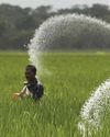 Govt says 3 more nano urea plants to be set up by PSUs fertiliser firms45