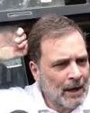 Rahul, Priyanka Among India Bloc MPs Detained During Delhi Protest Rahul, Priyanka Among India Bloc MPs Detained During Delhi Protest8