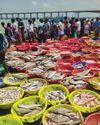 Government Urges Seafood Exporters to Explore New Markets Government Urges Seafood Exporters to Explore New Markets20