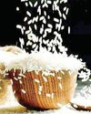 Indian Agri Sector Rejoices in GST Cuts7