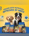 Reliance Consumer Products enters petcare market at affordable prices Reliance Consumer Products enters petcare market at affordable prices9