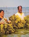 To strengthen livelihoods of its fishermen, Andhra Govt arranges training in Kerala, Tamil Nadu To strengthen livelihoods of its fishermen, Andhra Govt arranges training in Kerala, Tamil Nadu19