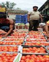 Wholesale inflation remains in negative territory at -0.32% in Nov Wholesale inflation remains in negative territory at -0.32% in Nov7