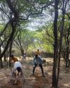 Volvo Car India to plant 20,000+ trees across 20 acres of Aravalli Range in Gurugram as part of Reverse Project Volvo Car India to plant 20,000+ trees across 20 acres of Aravalli Range in Gurugram as part of Reverse Project15