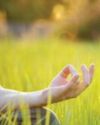 Go to nature to feel better Go to nature to feel better25