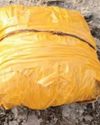 Drug trafficking surges along Bikaner border despite police crackdown33