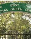 NGT seeks replies from authorities over alleged illegal construction on Yamuna floodplain40