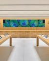 Apple expands India retail presence with Borivali Mumbai store17