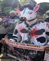 Over 500 Citizens March Demanding Structural Reforms to End Animal Exploitation13