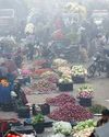 WPI Rises to 2.13% in Feb on Trade Bottlenecks: PHDCCI31