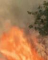 Delhi fire service launches large-scale operation to contain blaze near Rajghat depot36