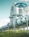Govt expands fuel dispenser checks to CNG, LNG and hydrogen amid clean energy push Govt expands fuel dispenser checks to CNG, LNG and hydrogen amid clean energy push1
