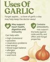 Raw or cooked: The best way to eat garlic for blood sugar control Raw or cooked: The best way to eat garlic for blood sugar control23