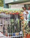DELHI ADDS 300 ELECTRIC BUSES DELHI ADDS 300 ELECTRIC BUSES31