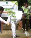 Delhi launches 70 lakh tree plantation drive Delhi launches 70 lakh tree plantation drive27