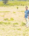 ఏనుగుల సంచారం11