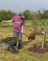 Time to prepare to plant your orchard