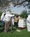 Get prepared for keeping bees