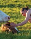 The Country Smallholder