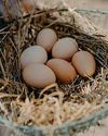 eBay's egg ban ruffles feathers12