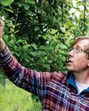 The apples of his eye8