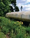 Growing Space for people and for gardens21
