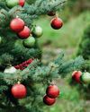 Picking the perfect present for countryside people6