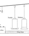 Understanding your chicken's respiratory system for good welfare15