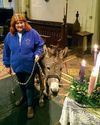 Donkeys are not just for Christmas but all year round in some countries' industries34