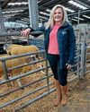 Livestock insurance cover revamped ahead of Pedigree Sales season0