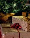 Christmas cheer, or Christmas neglect?16