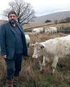 Native breed produce at Christmas7