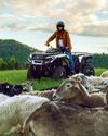 The Country Smallholder