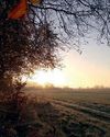 The Country Smallholder