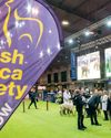 British Alpaca Society - a great National Show and much more5
