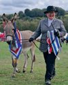 Breed societies: not just for celebration dinners!4